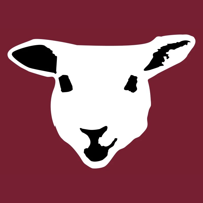 Schaf, Lamm