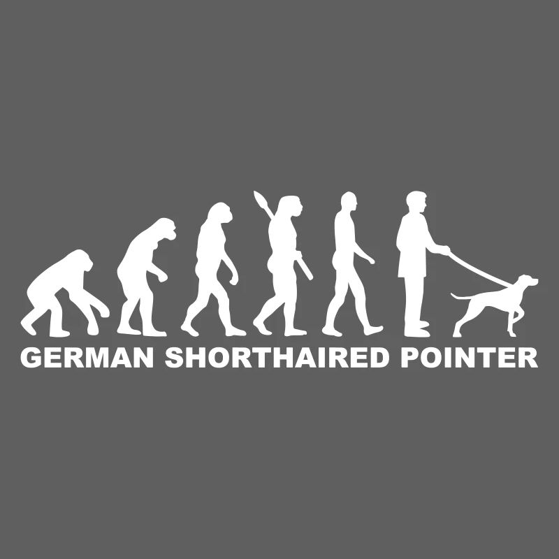 German Shorthaired Pointer