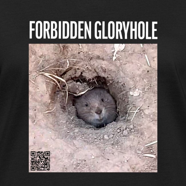 Forbidden Gloryhole