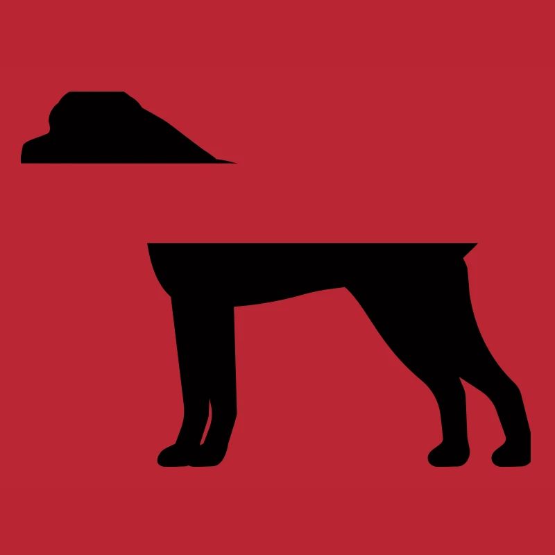 Boxer