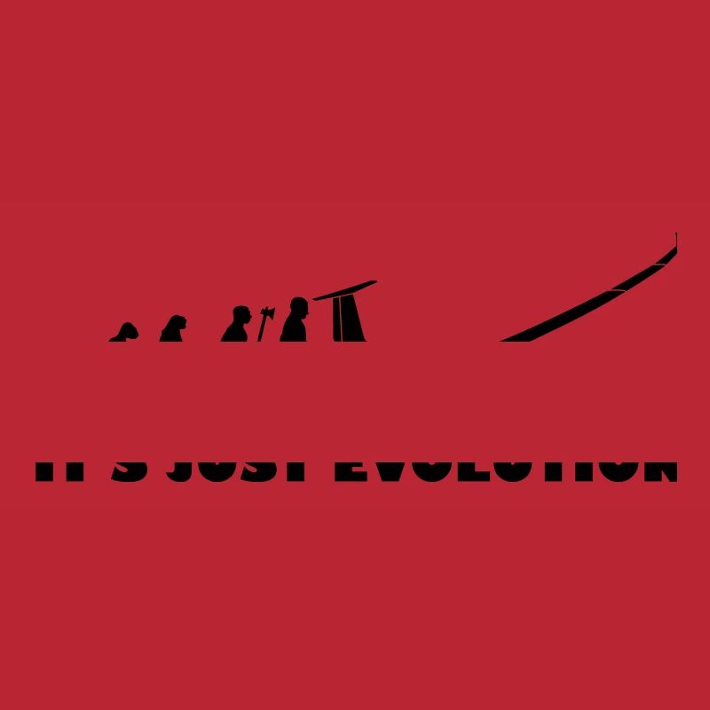 Evolution Segelflugzeug