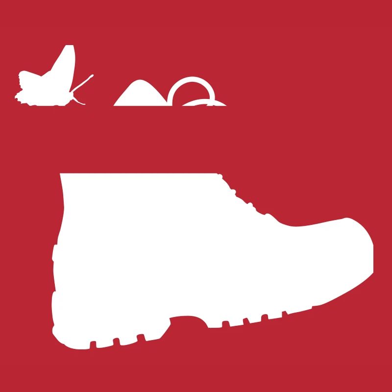 Chaussures de randonnée
