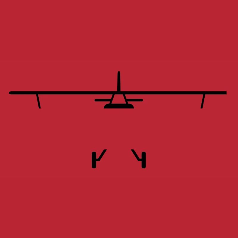 Fly a plane