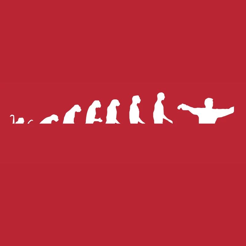 Taijiquan Chen Style Evolution