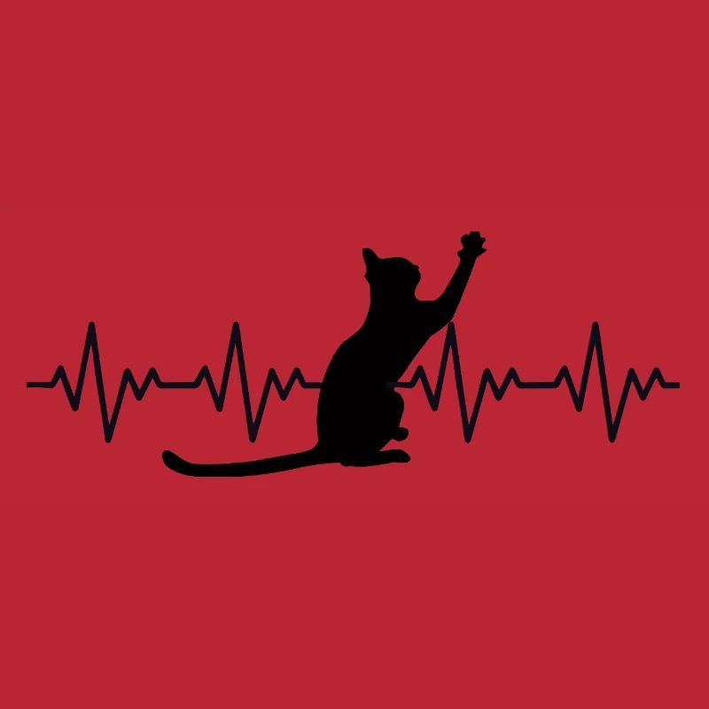 Katze EKG Herzfrequenz Herzschlag
