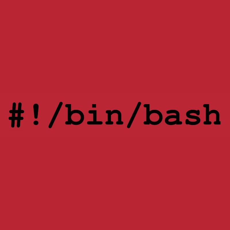 Shell bash / bourne-again sous Linux et Unix