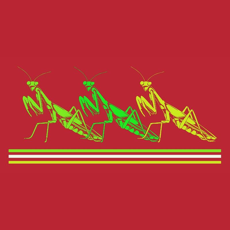 Mantis Gottesanbeter Gottesanbeterin
