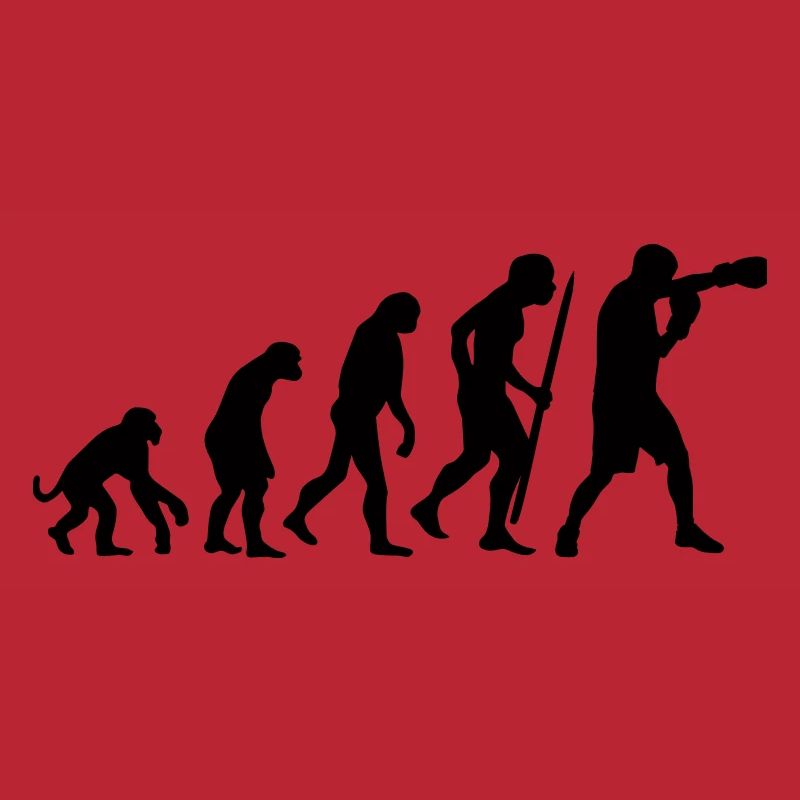 Evolution de la boxe