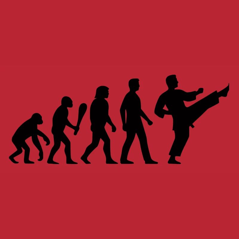 Karate Evolution