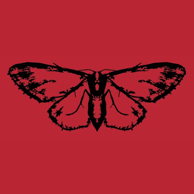 Moth / Butterfly / Moth