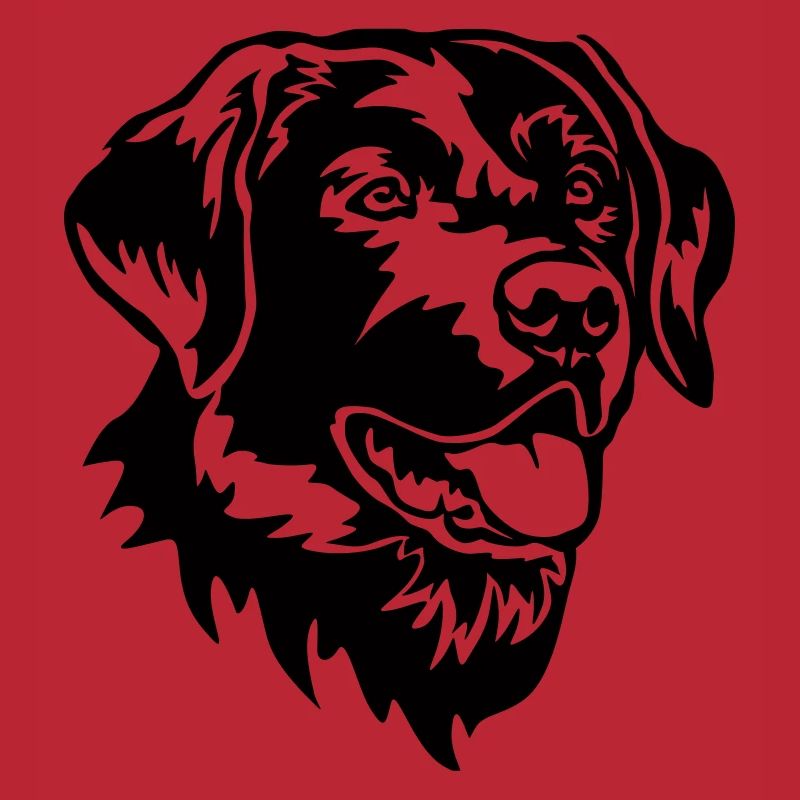 Labrador Head