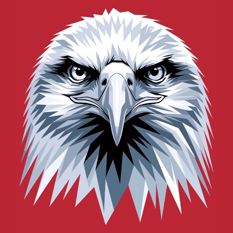 Eagle Bald Eagle Golden Eagle White-tailed Eagle
