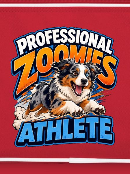 Australian Shepherd