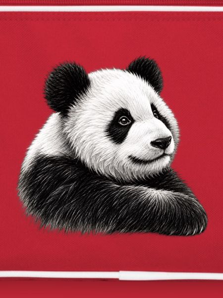 Panda Illustration