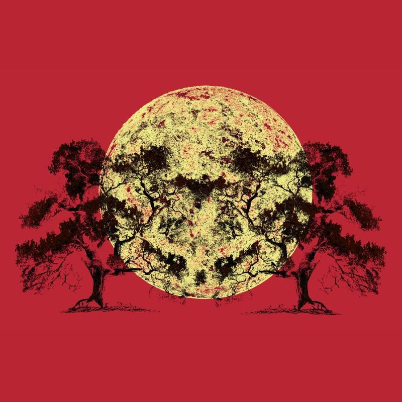 Moon, Forest, Trees, Nature, Botany, Flora