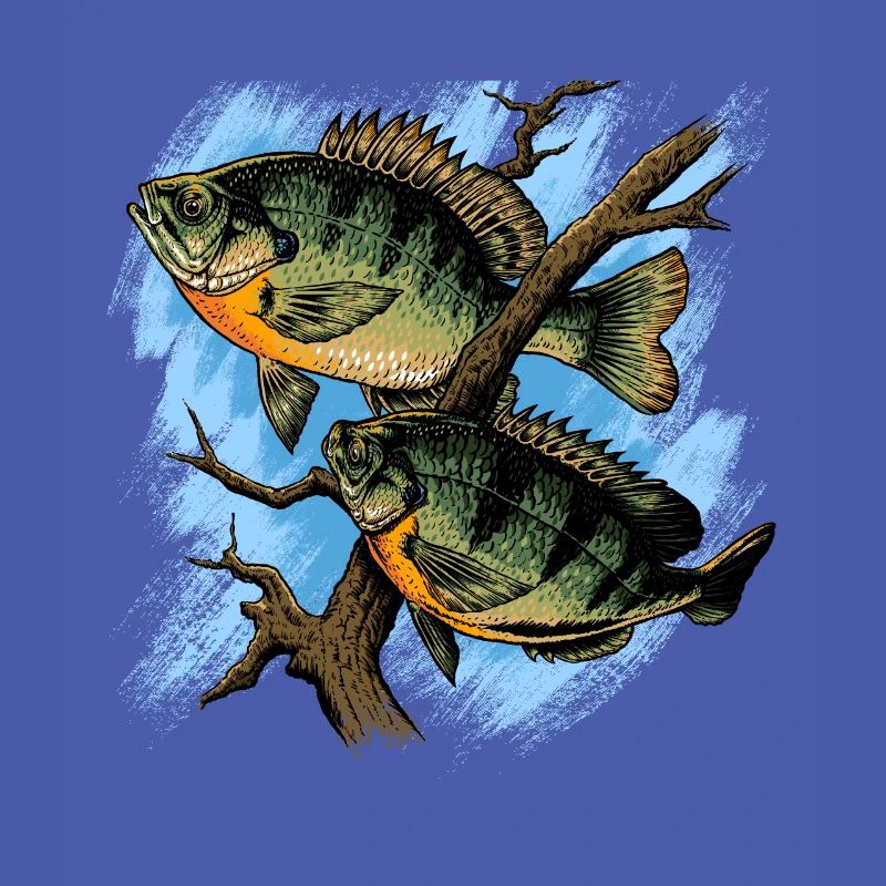 Crapet Arlequin Illustration Pêche Pullover conception