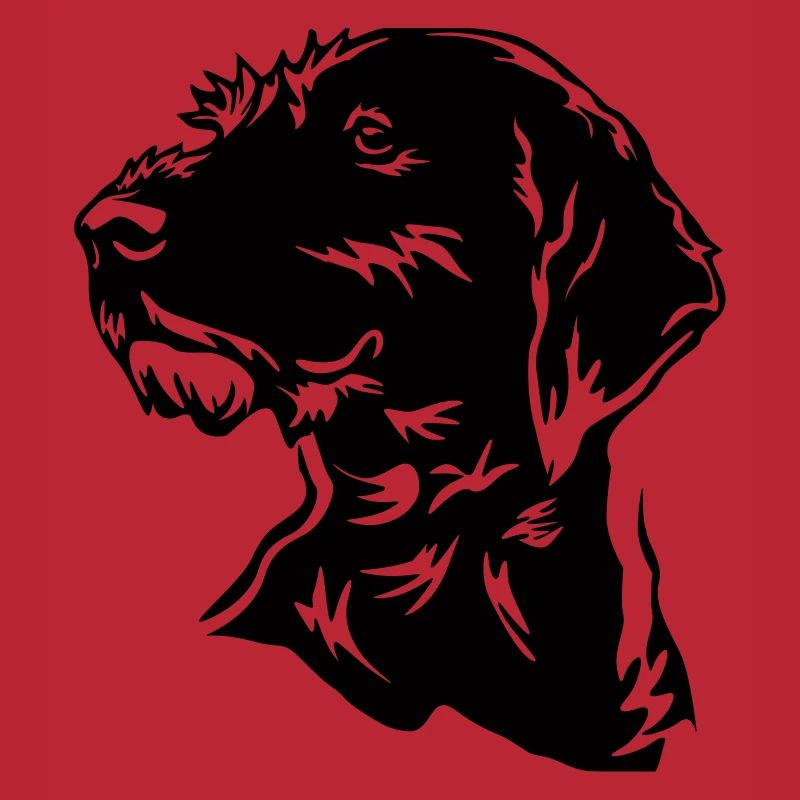 German Wirehaired Head