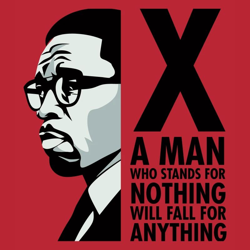 Malcolm X - Ein Mann, der für nichts steht, wird fallen