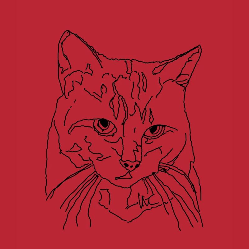 Chat