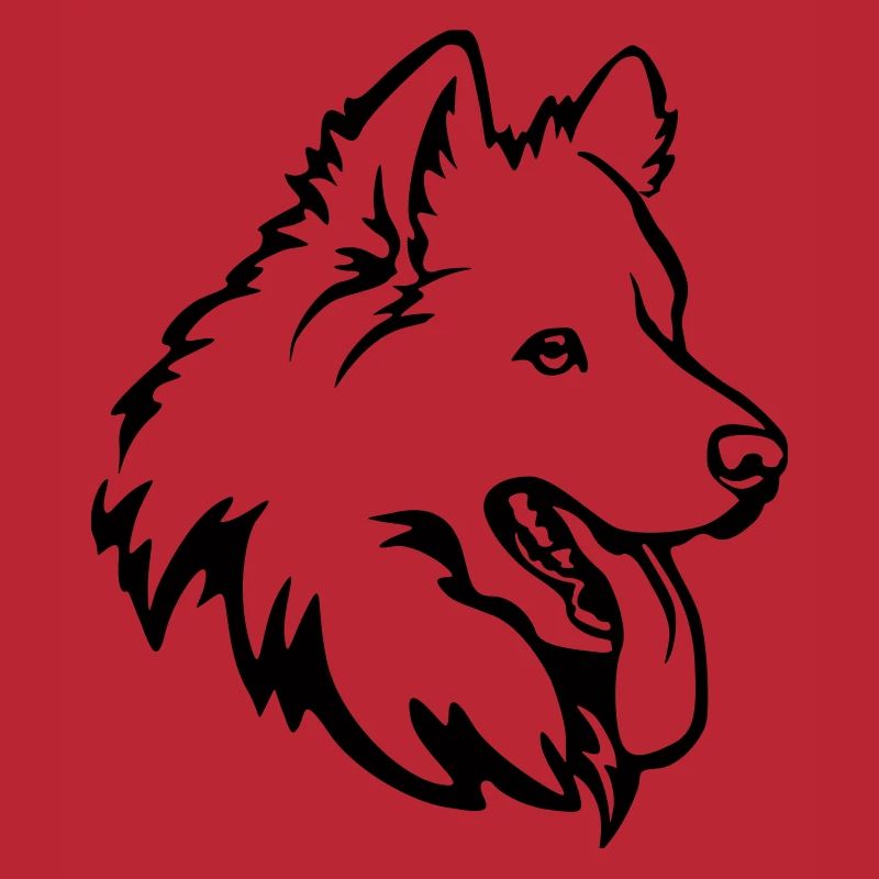 Samoyed head