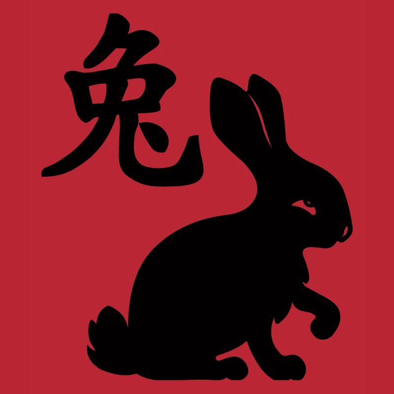 Lapin à caractère chinois avec image de lapin