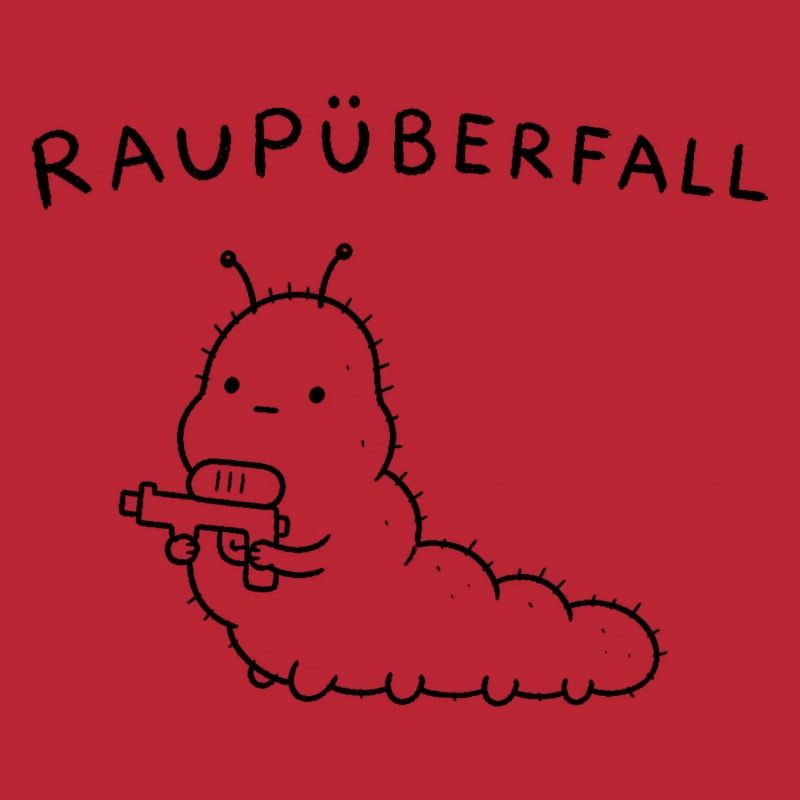 Raupüberfall