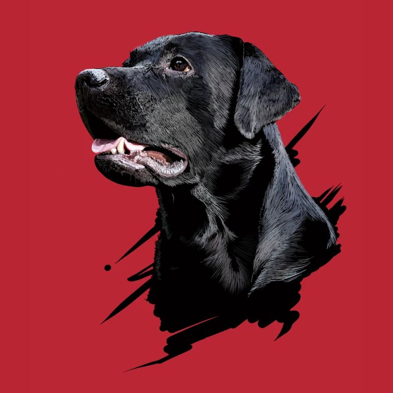 Labrador