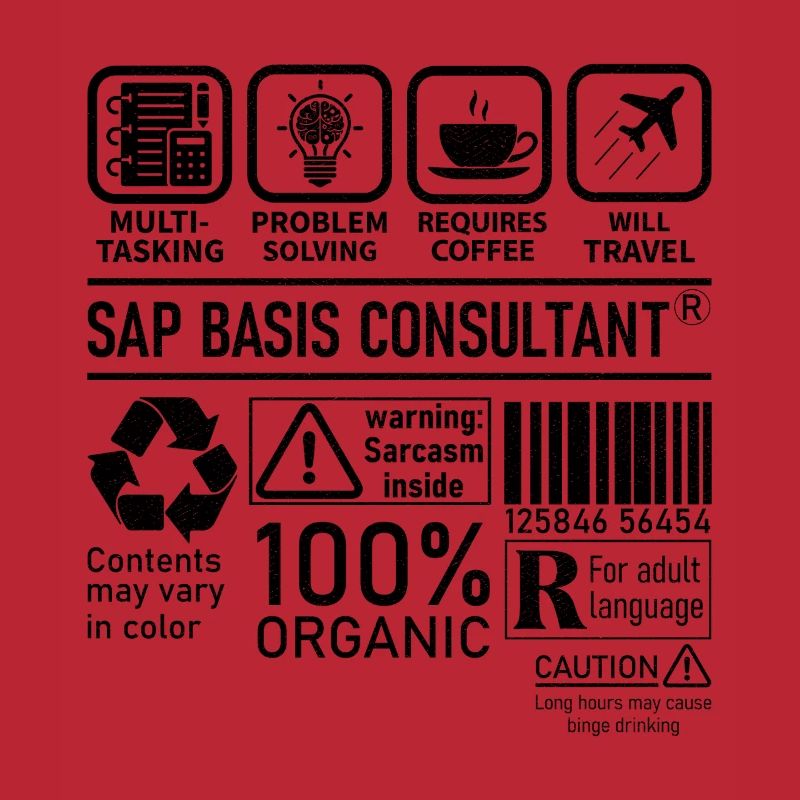 Sap Basis Consultant multi tasking problem solving