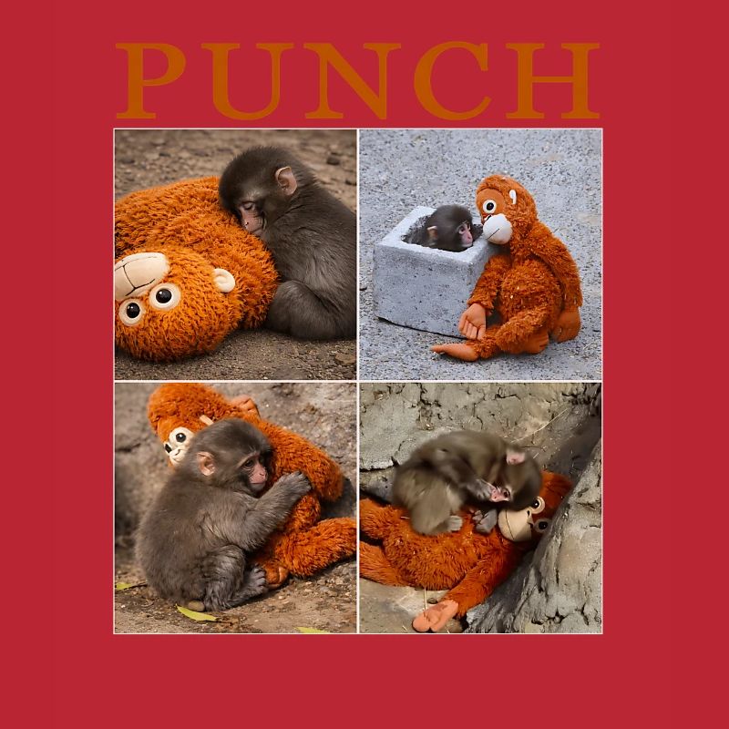 Team Monkey Punch