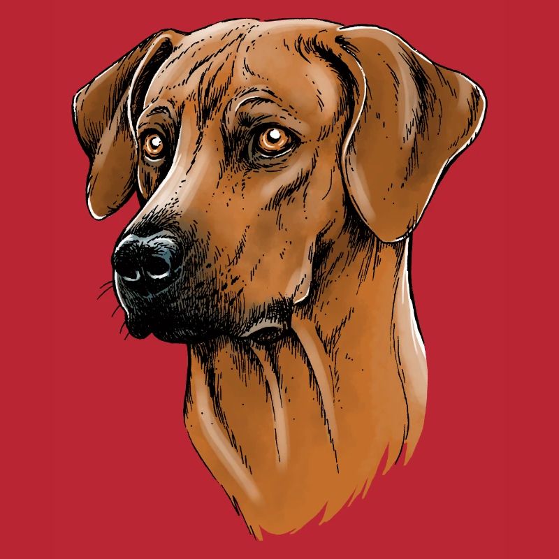 Rhodesian Ridgeback
