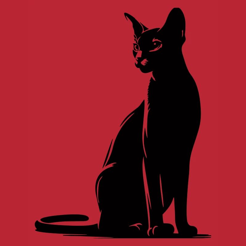 Abessiner Katze
