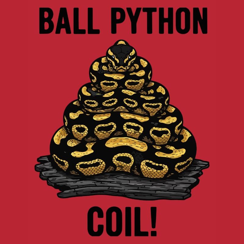 Python Royal Ball Python Coil Reptile Pyramide