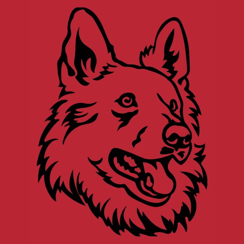 Schweizer Schäferhund Kopf