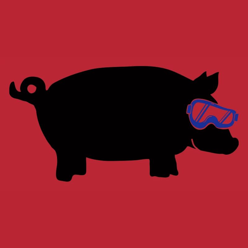 sau ski goggles 2