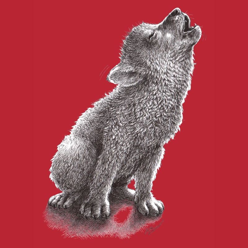 Junger heulender Wolf
