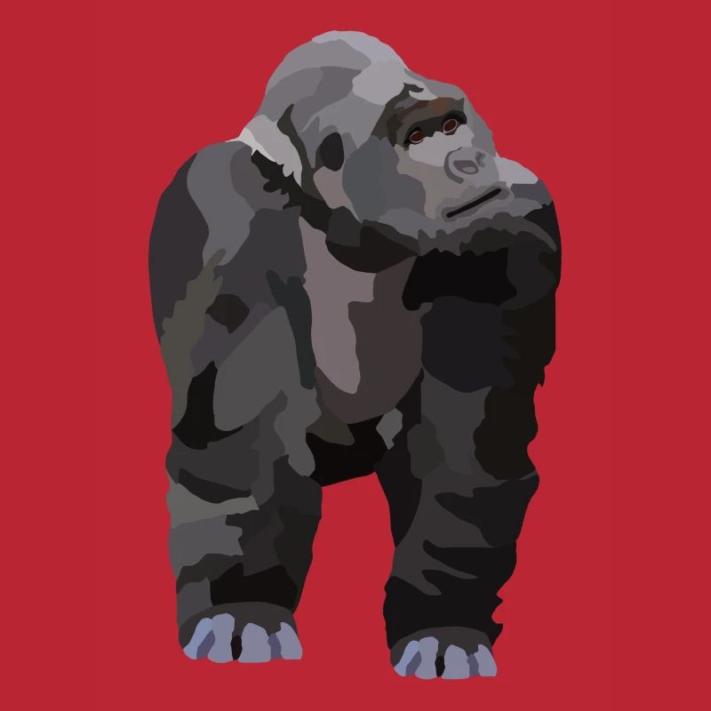 Gio, der Gorilla
