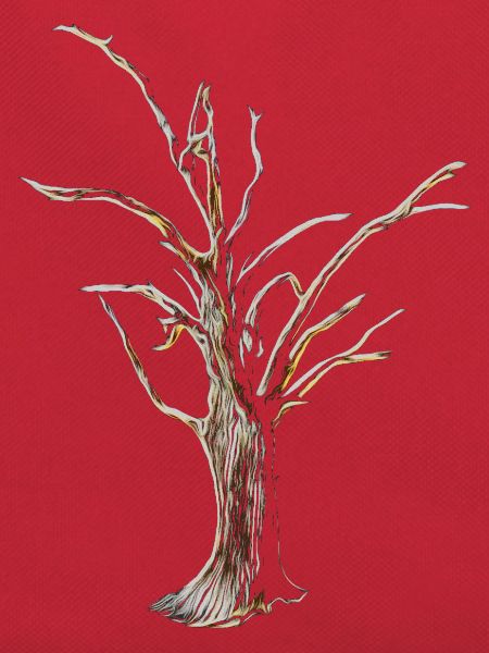 Baum