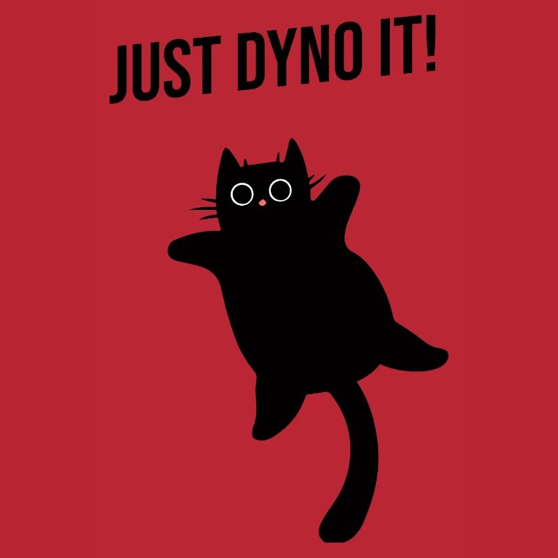 Cat climbs dynamically climbing route Dyno boulder