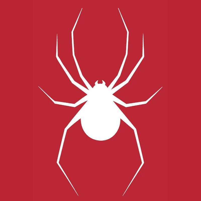 Spinne