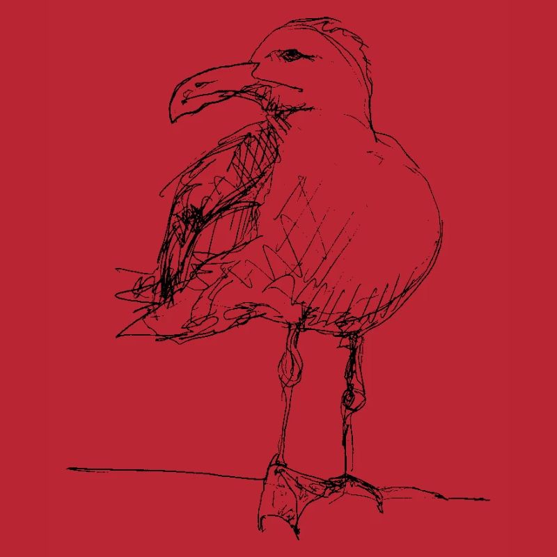 Möwe