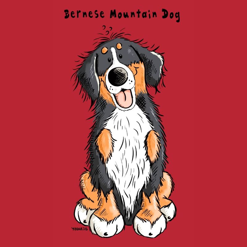 Berner Sennenhund mach Sitz