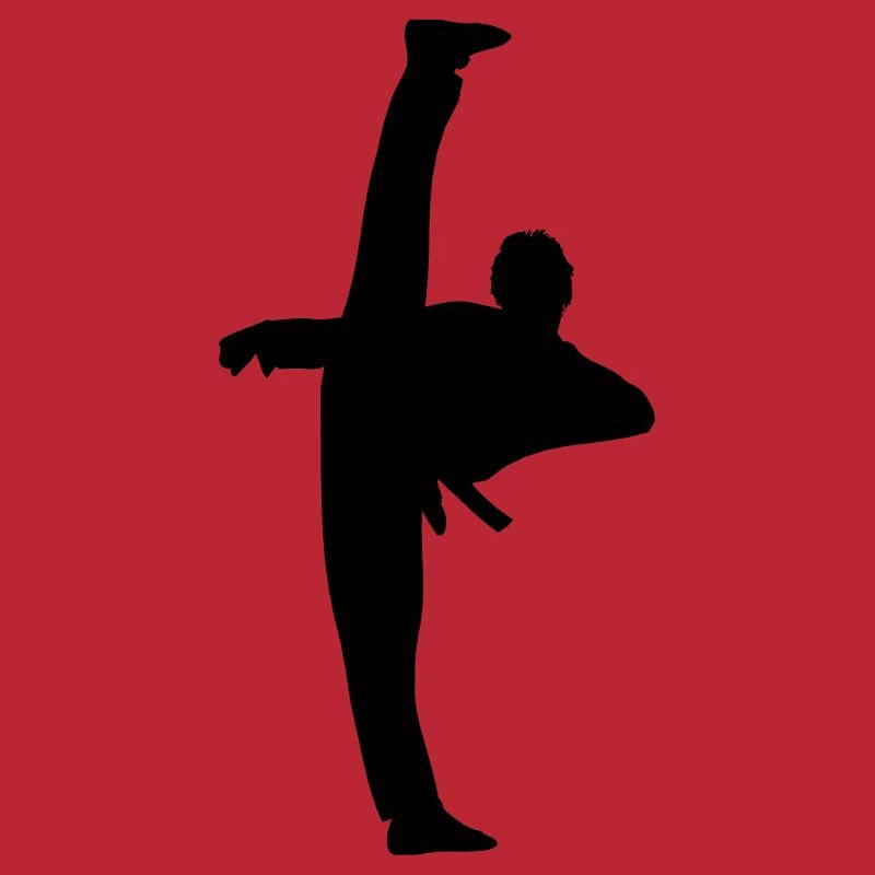 High Kick von Taekwondo oder Karate Schattenfigur