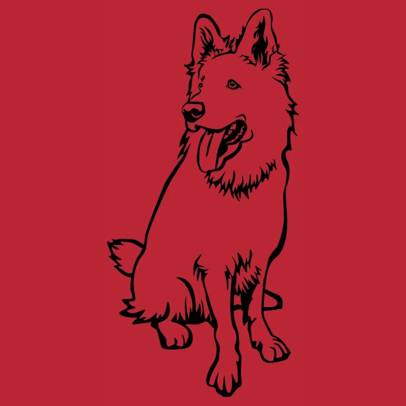 Swiss Shepherd