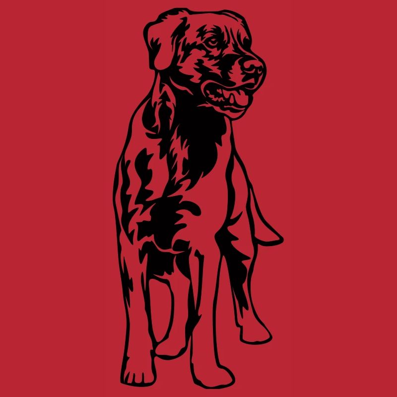 Labrador
