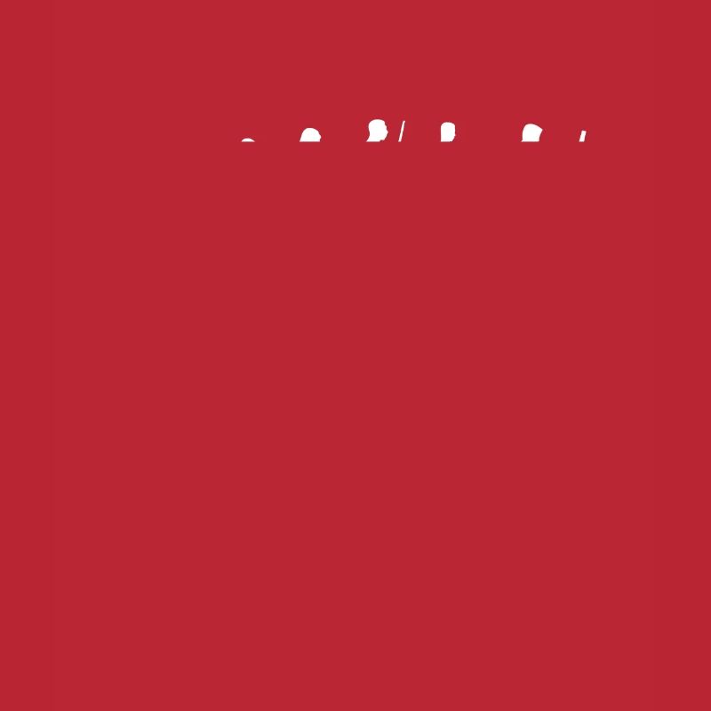 Programmierer Evolution Informatiker Entwickler