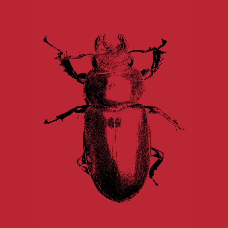 bug