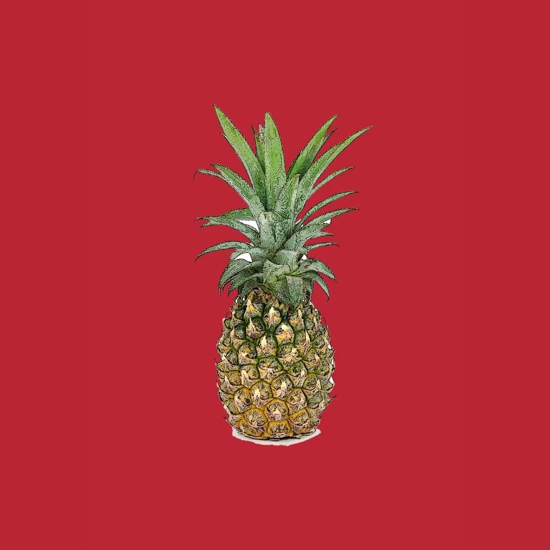 Ananas | Pineapple