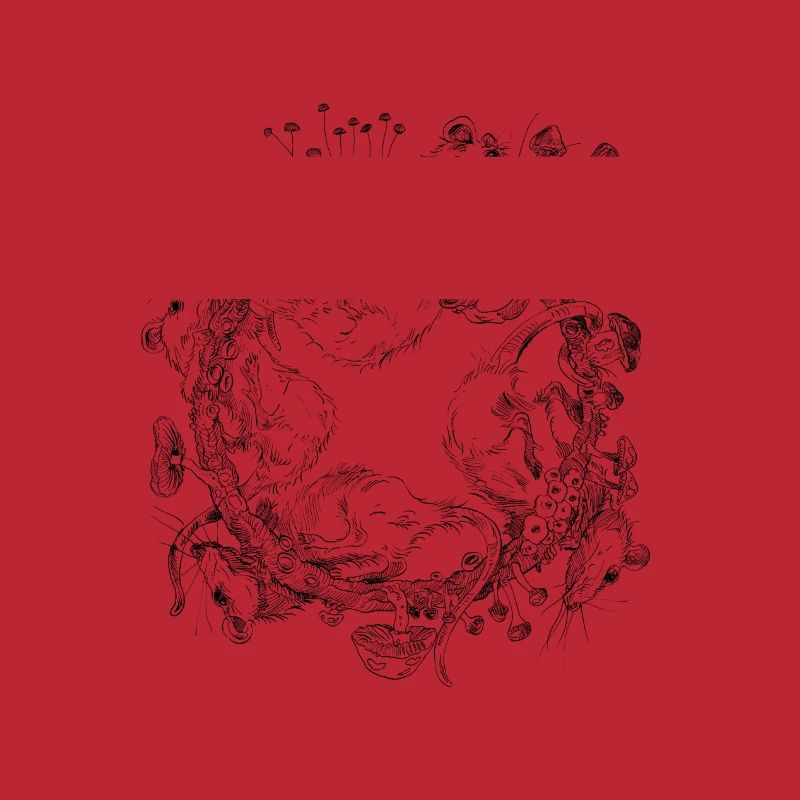 course de rat / course de rat / champignons