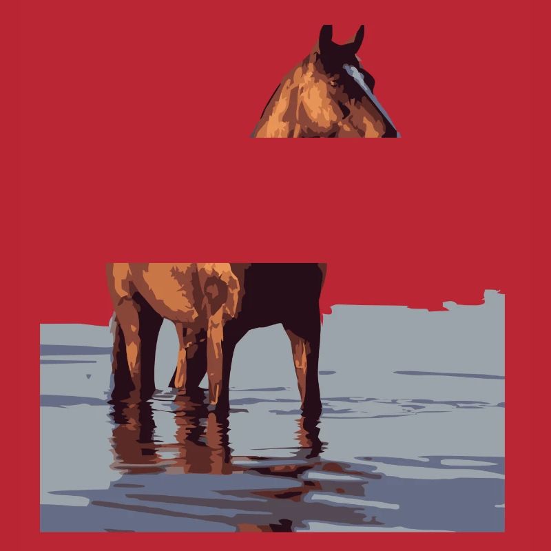 cheval dans l’eau
