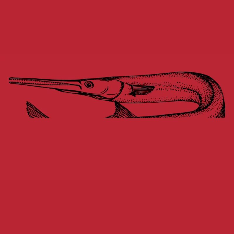 poisson